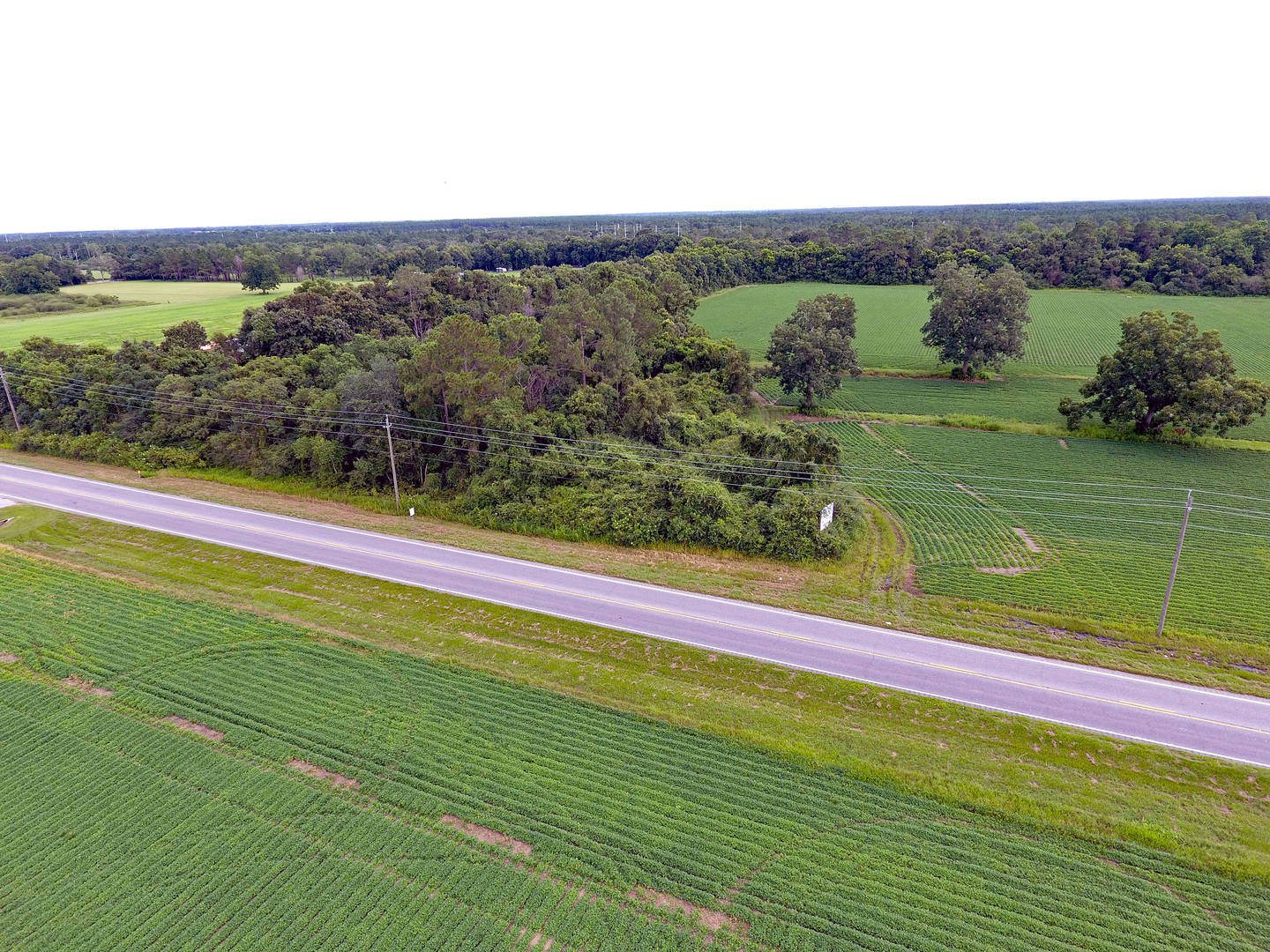 Brivity 28400 Highway 98 Elberta, AL 36530 Virtual Tour