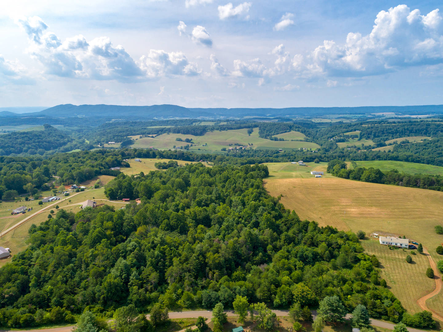 Brivity Lot 13 Bald Meadow Lane Barren Springs, VA 24313 Virtual Tour