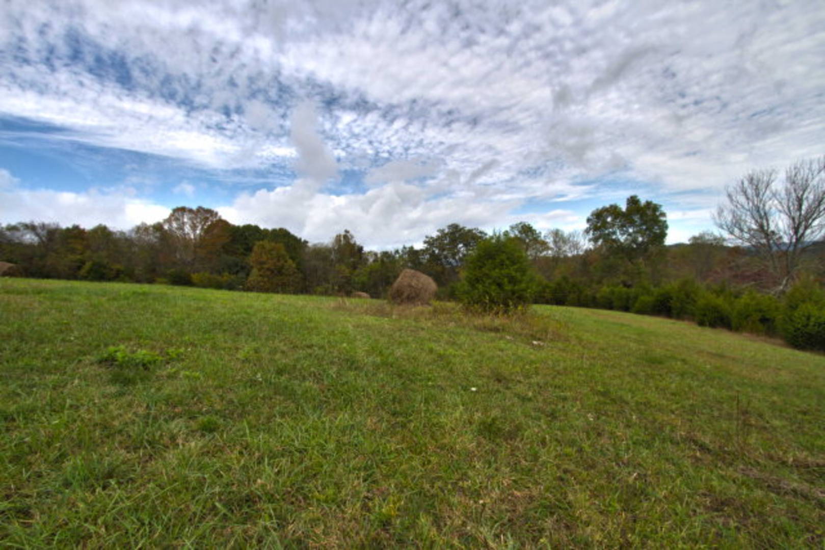 Brivity Lot 23 Bald Meadow Lane Barren Springs, VA 24313 Virtual Tour
