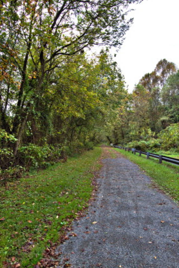 Brivity Lot 23 Bald Meadow Lane Barren Springs, VA 24313 Virtual Tour