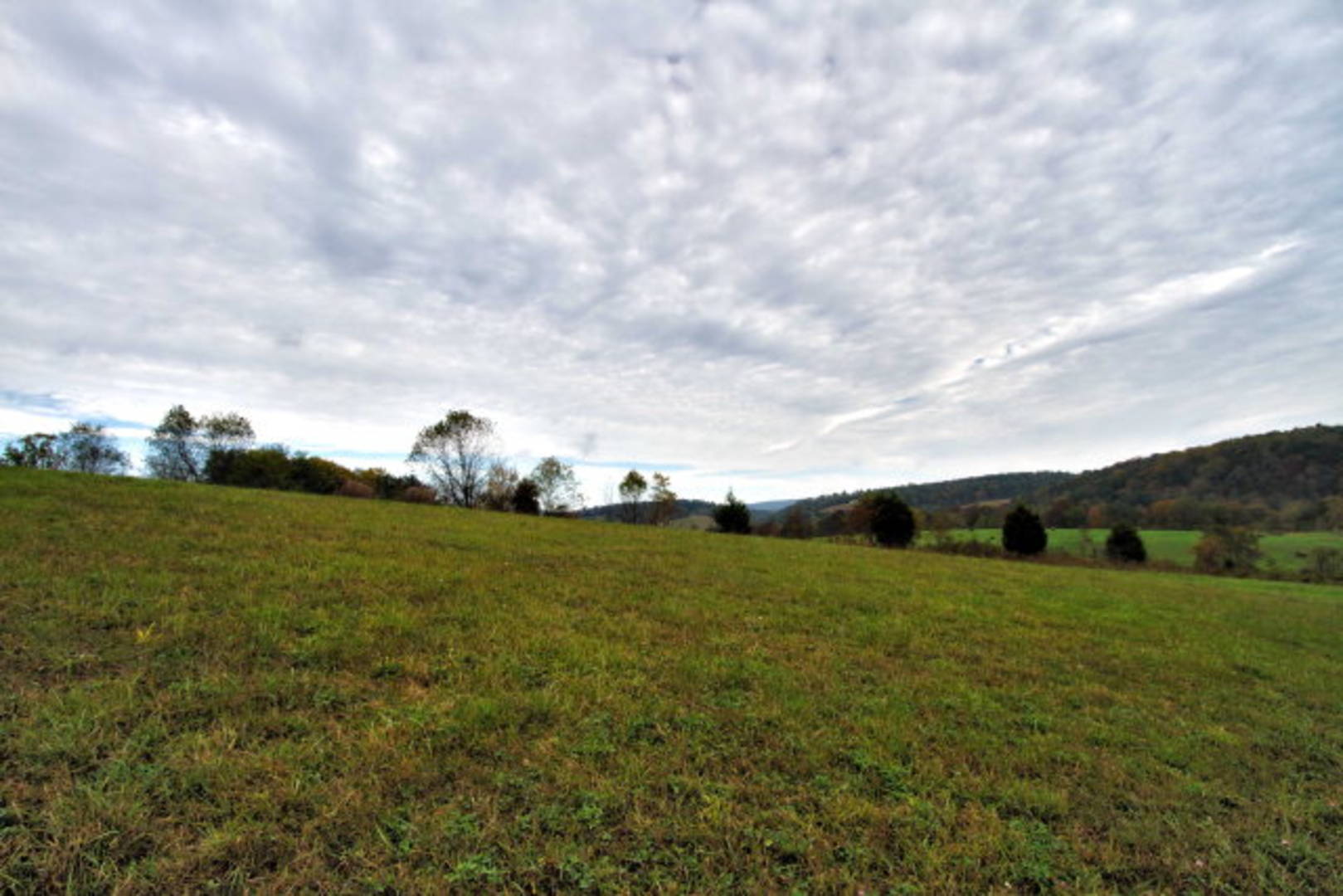 Brivity Lot 31 Bald Meadow Lane Barren Springs, VA 24313 Virtual Tour