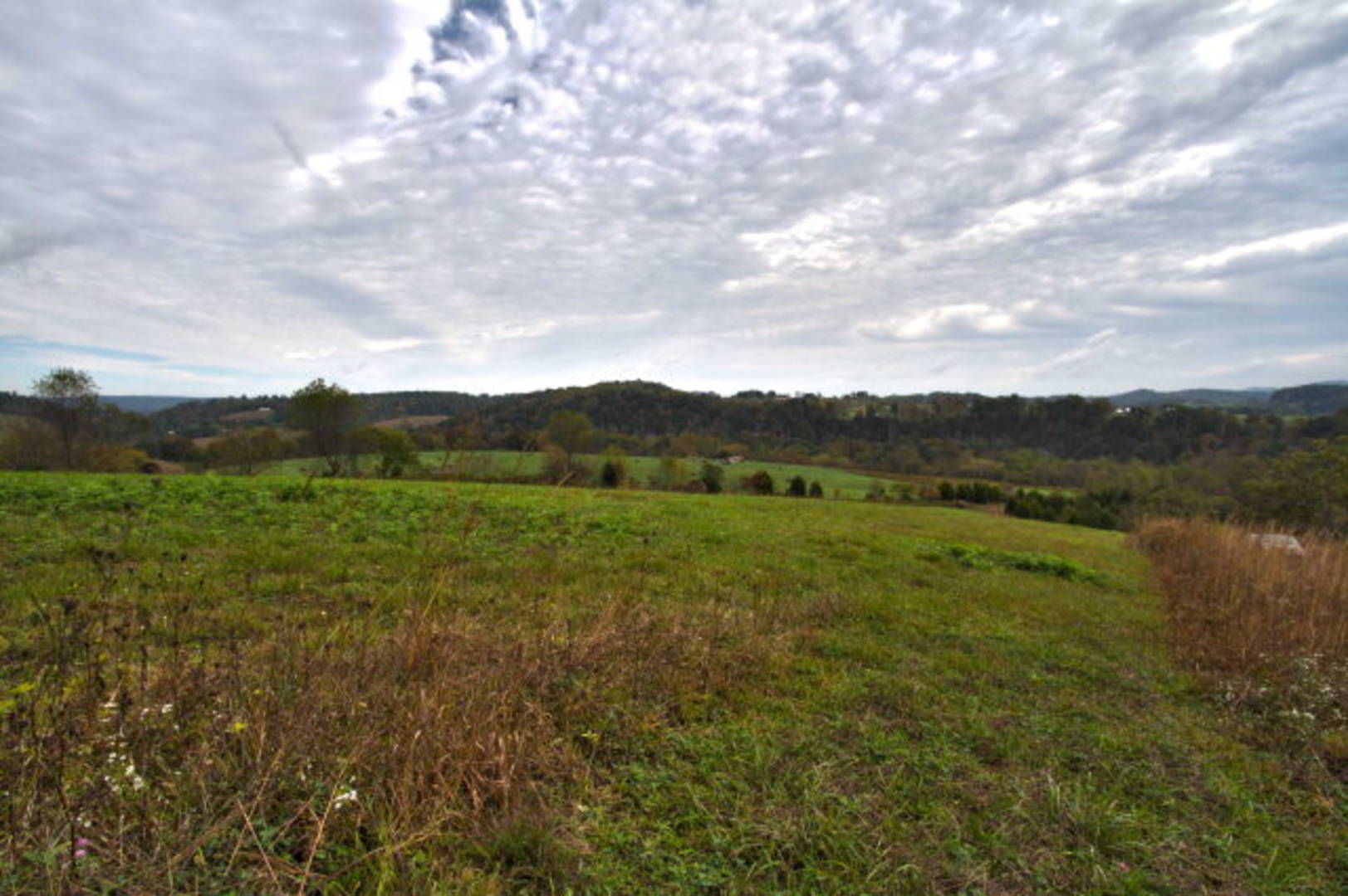 Brivity Lot 31 Bald Meadow Lane Barren Springs, VA 24313 Virtual Tour