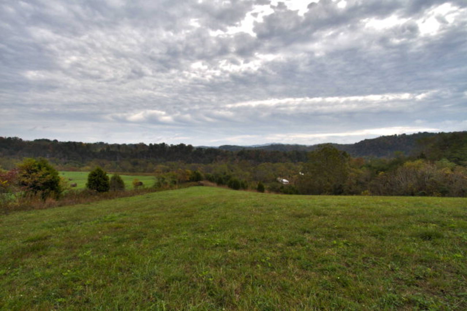Brivity Lot 31 Bald Meadow Lane Barren Springs, VA 24313 Virtual Tour