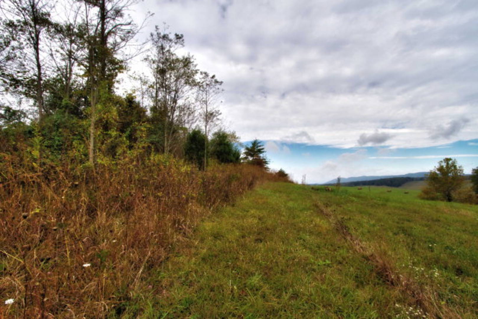 Brivity Lot 31 Bald Meadow Lane Barren Springs, VA 24313 Virtual Tour