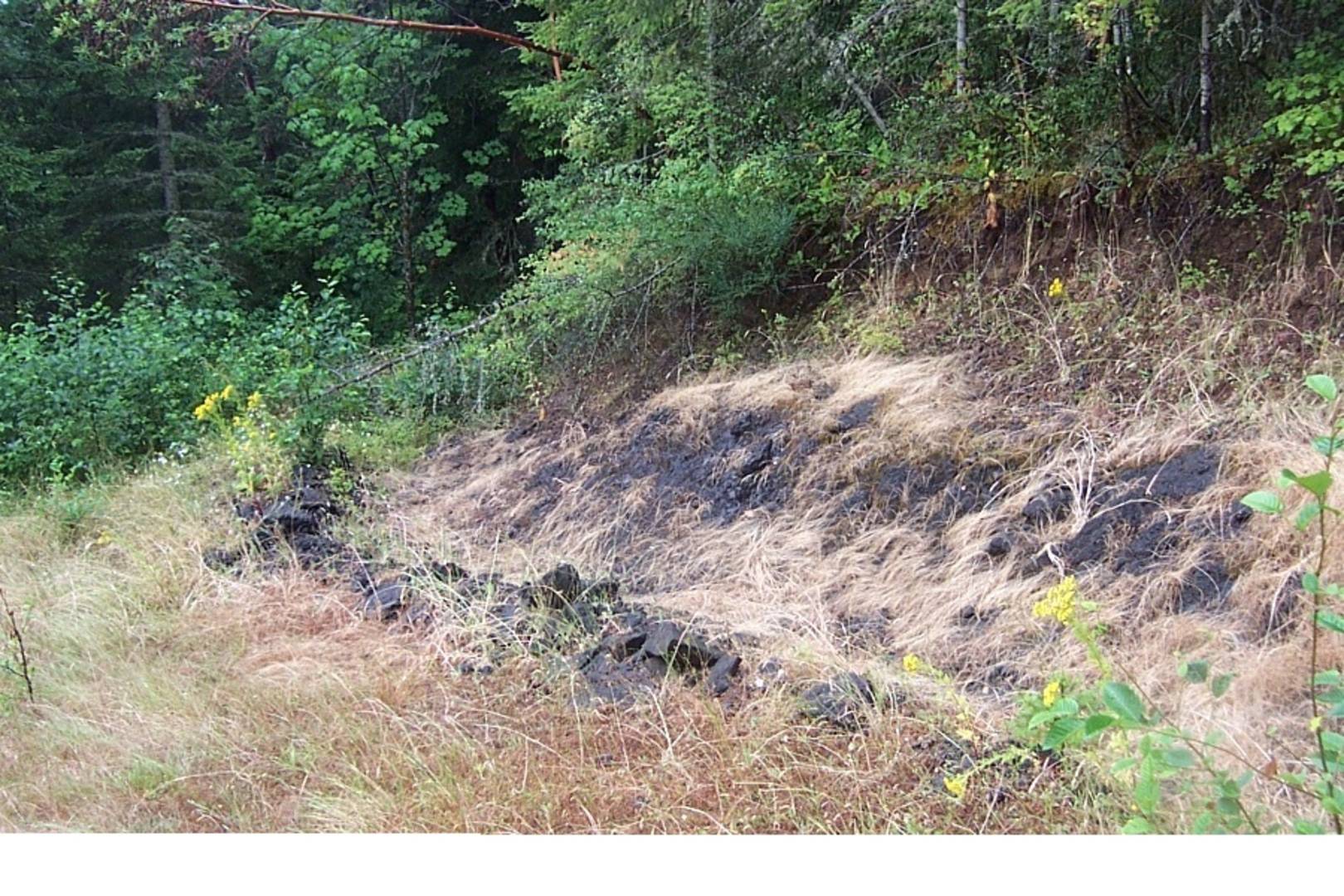 Brivity - 6824 Old Olympic Hwy Olympia, WA 98502 - Virtual Tour