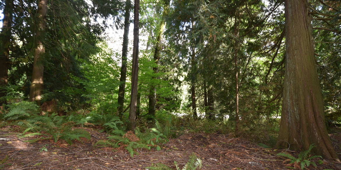 Brivity 0 Cain Lake Road (Williams) Sedro Woolley, WA 98284