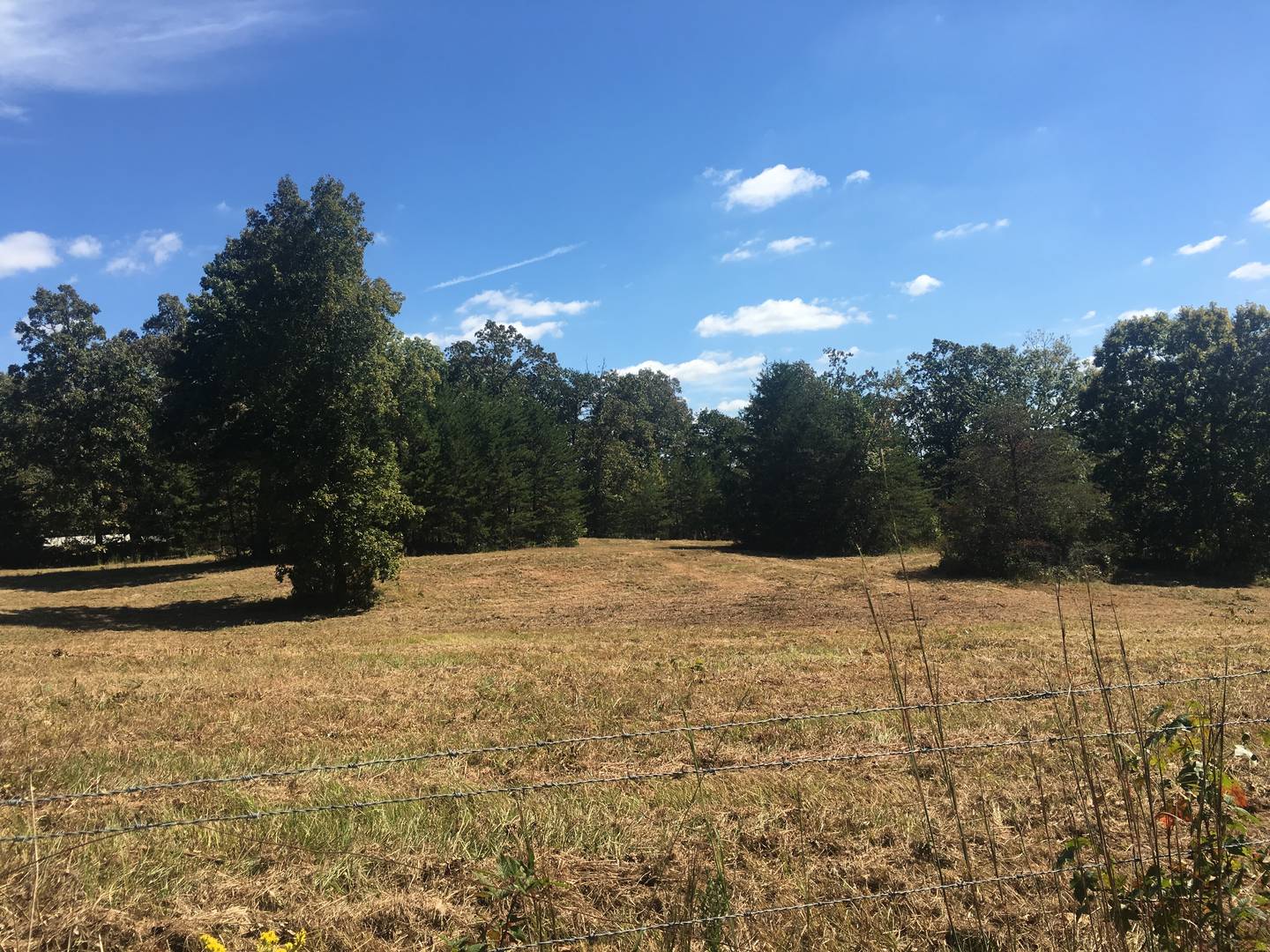 Brivity 234 Wallace Road Cowpens, SC 29330 Virtual Tour