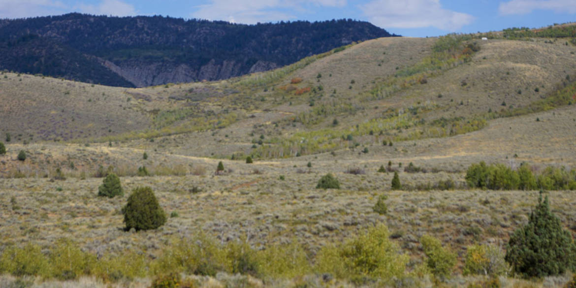 Brivity Ant Flat Road , UT
