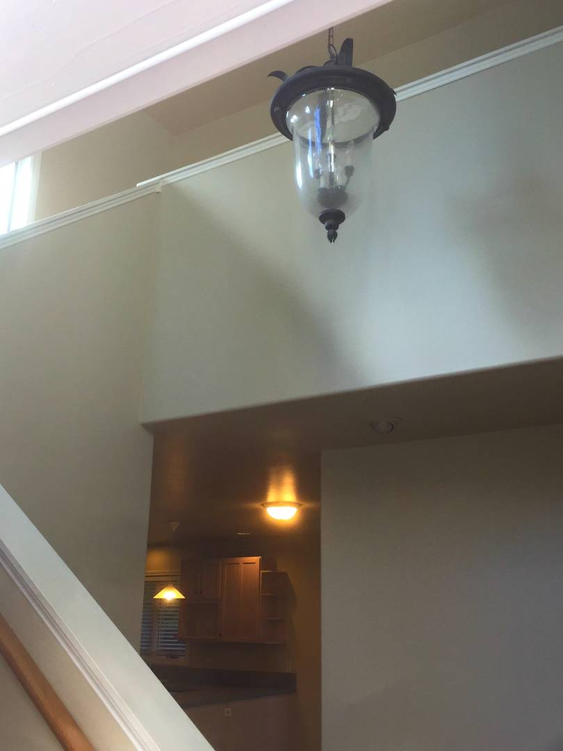 8243 S 123rd Place Seattle, WA 98178