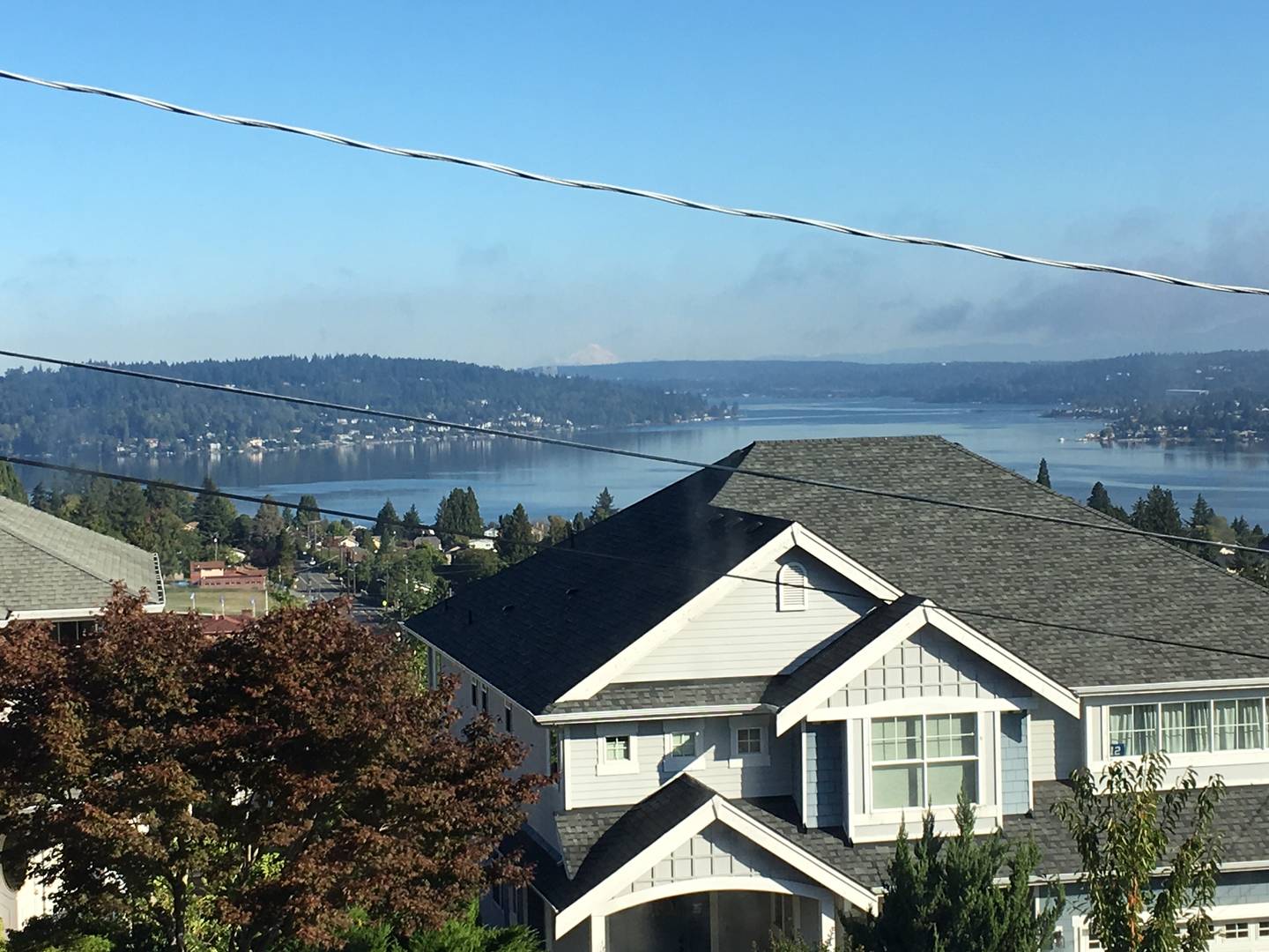 8243 S 123rd Place Seattle, WA 98178
