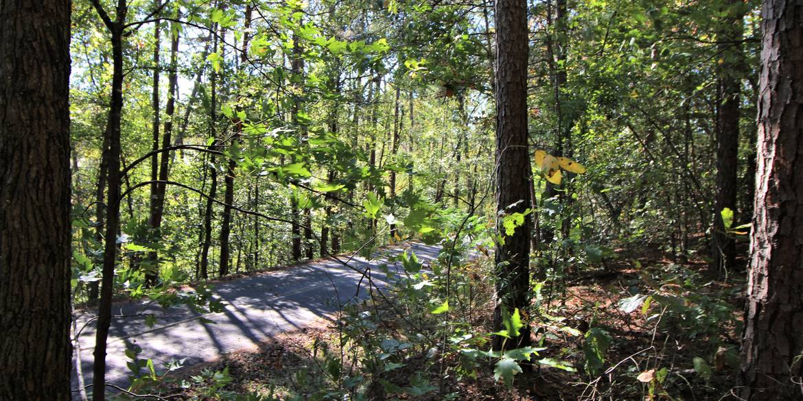 Brivity 371 Austin Edwards Road Walhalla, SC 29691