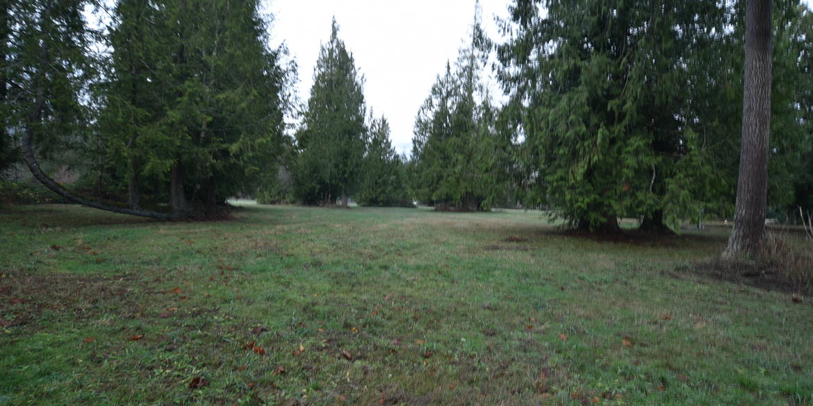 Brivity 8349 Birdsview Meadows Lane Concrete, WA 98237