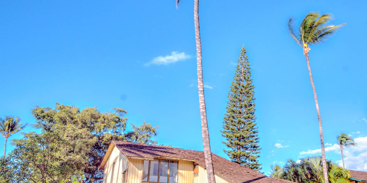 Brivity Eric West • 185 Waipahe St. Kihei, HI 96753