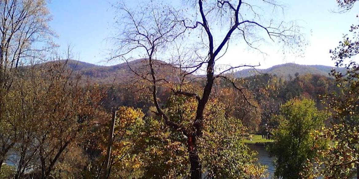 Brivity 4678 Clarks Ferry Road Draper, VA 24324