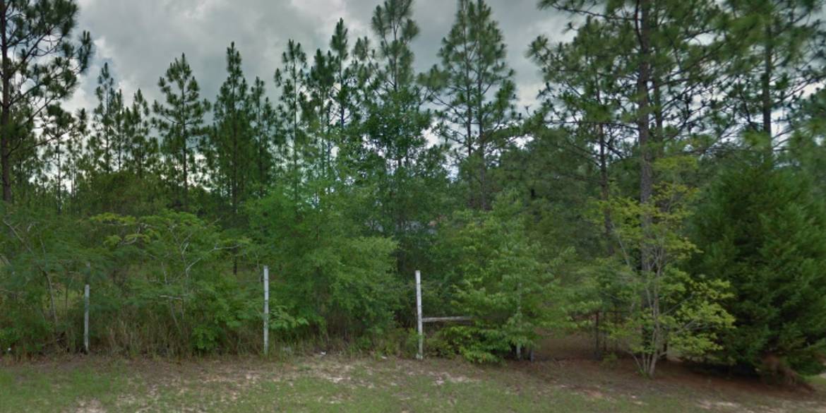 Brivity 6492 Mauvilla Drive West Eight Mile, AL 36613