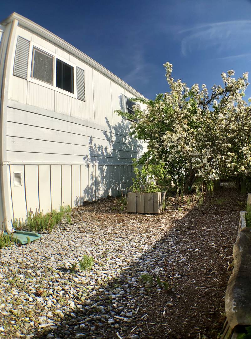 1200 Lincoln St #177 Bellingham, WA 98229