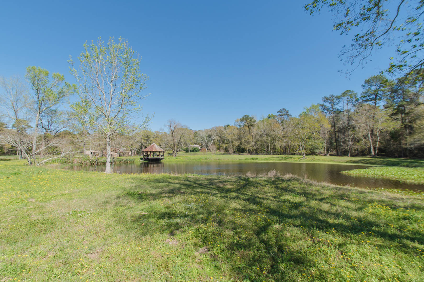 Brivity 17150 Fox Run Lane Fairhope, AL 36532 Virtual Tour