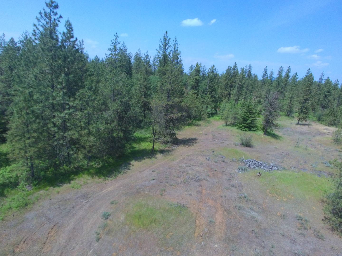 Brivity 22XXX W Martha Ln Reardan, WA 99029 Virtual Tour