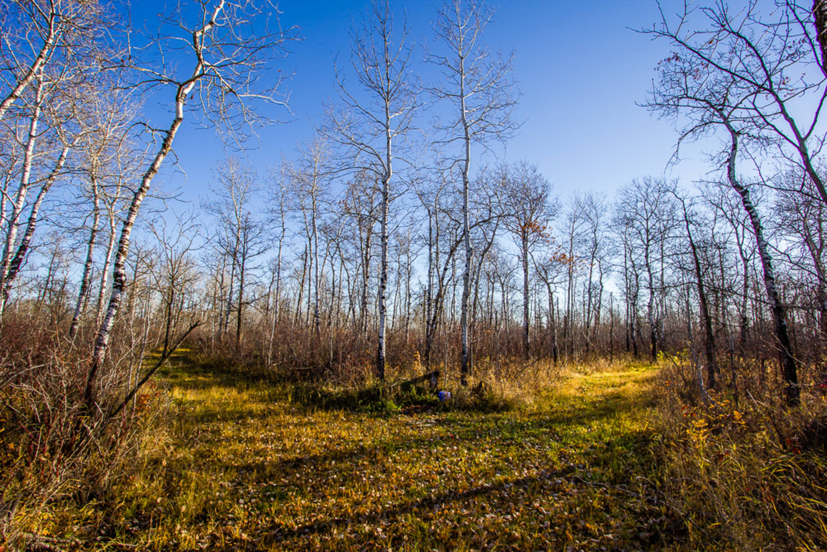 Brivity 38 121 Hazelridge Road Anola, MB R0E0A0 Virtual Tour