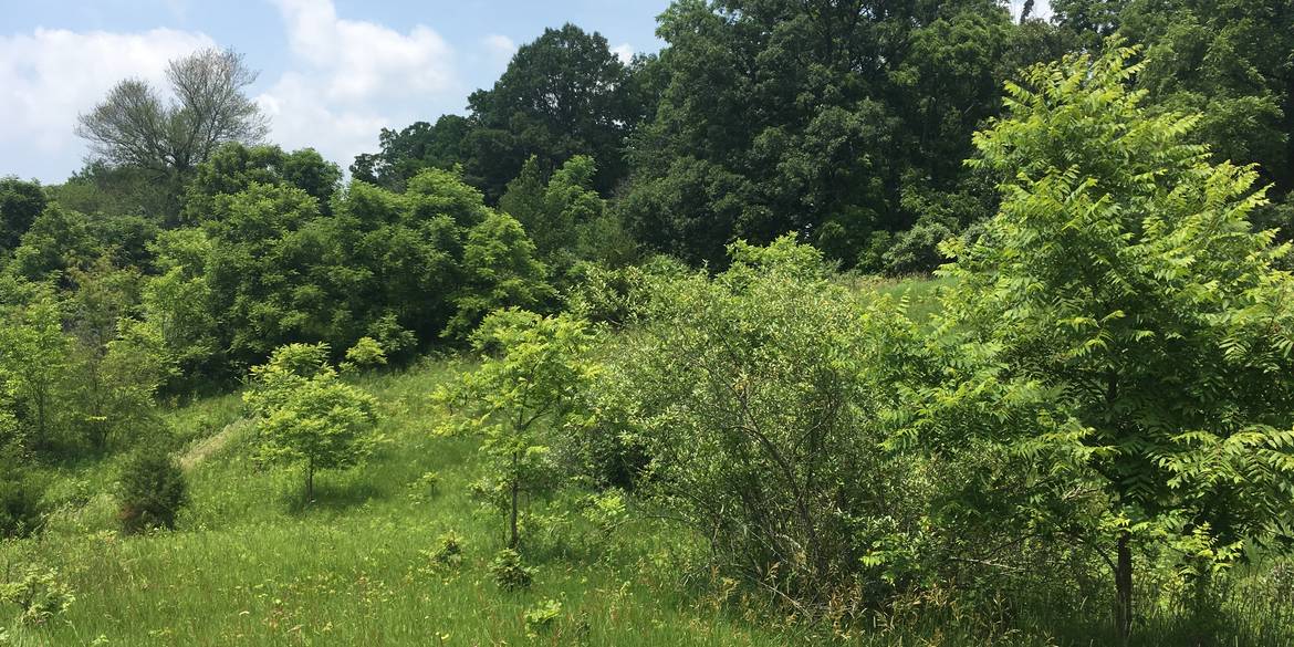 Brivity English Rd Manchester, MI 48158