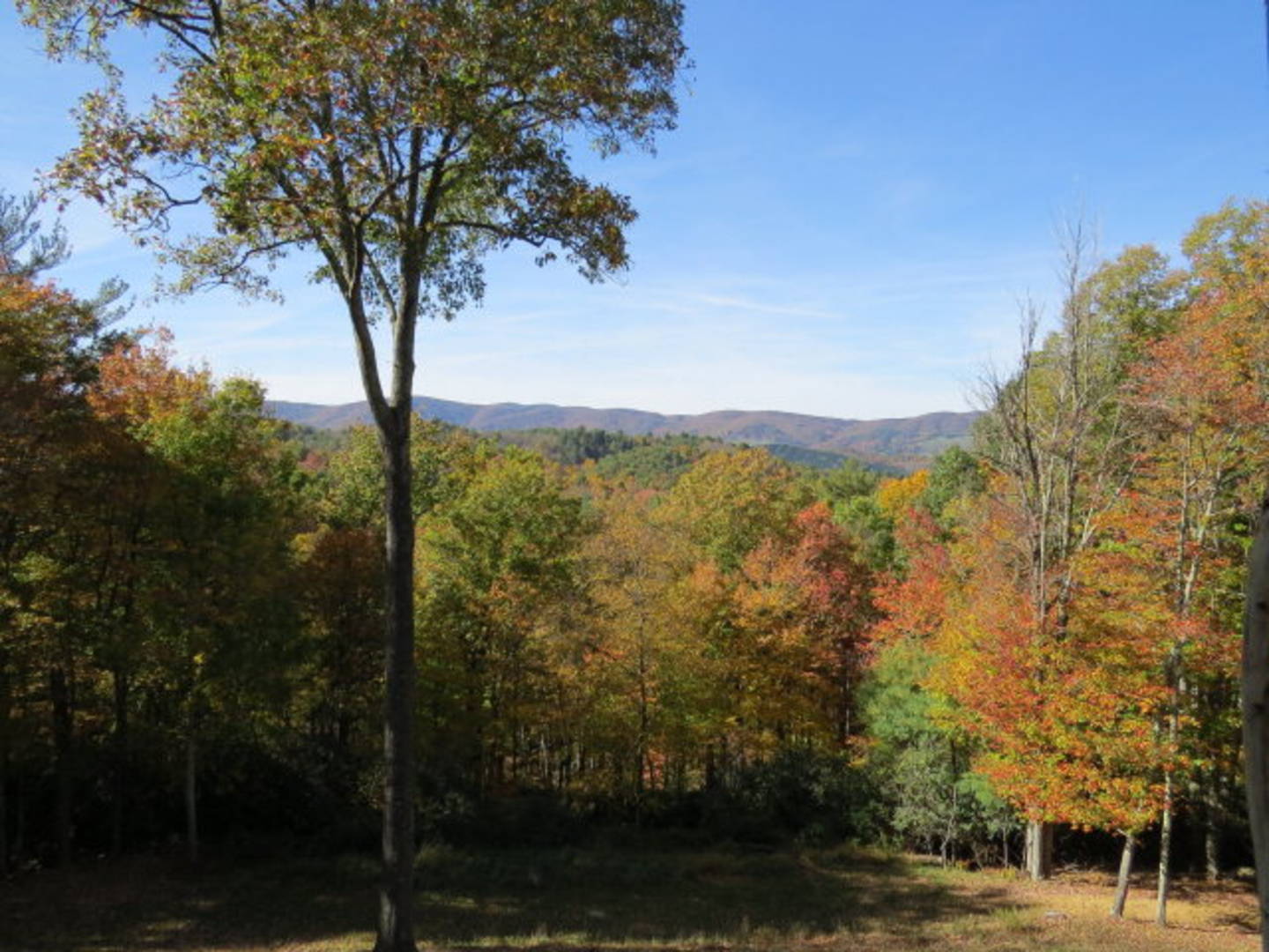 Brivity 150 Watauga Lane Elk Creek, VA 24326 Virtual Tour