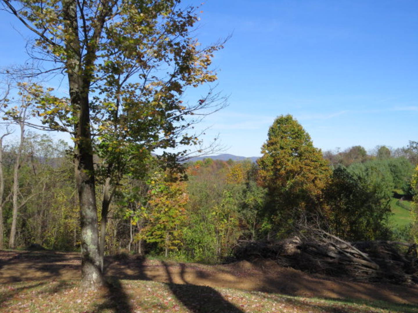 Brivity 150 Watauga Lane Elk Creek, VA 24326 Virtual Tour