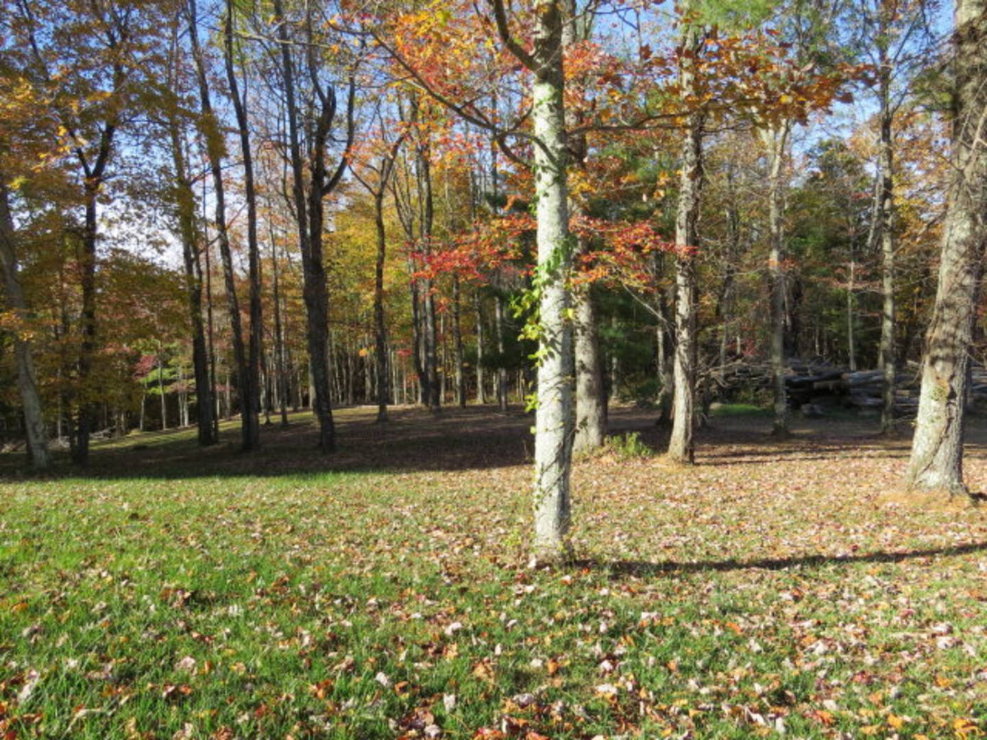 Brivity 150 Watauga Lane Elk Creek, VA 24326 Virtual Tour