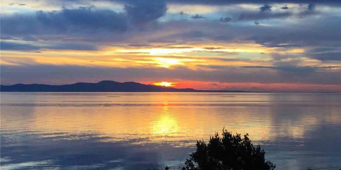 Brivity 5317 Parker Avenue Victoria, BC V8Y2N1