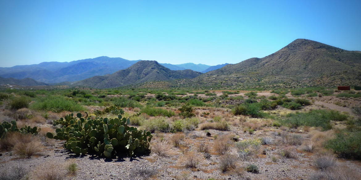 Brivity 17650 S Bradshaw Mountain Ranch Rd Mayer, AZ 86333