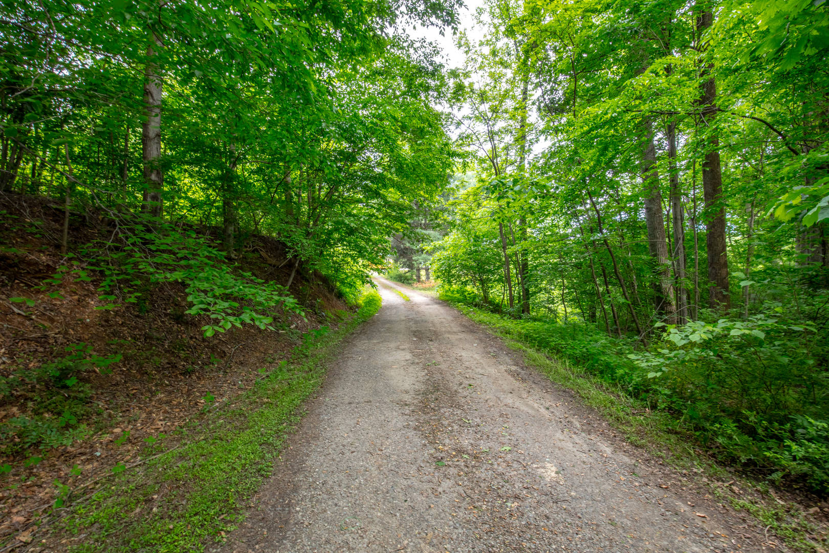 Brivity 8854 Woolwine Hwy Woolwine, VA 24185 Virtual Tour