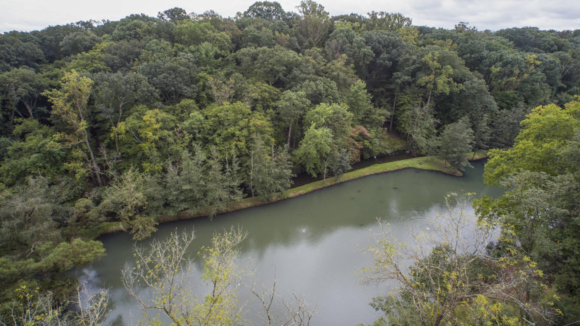 415 Dove Lake Road Gladwyne, PA 19035