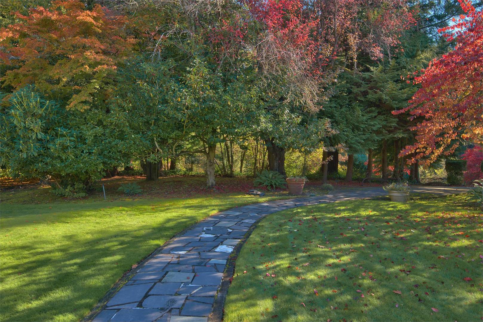 Brivity 12718 Gravelly Lake Drive SW Lakewood, WA 98499 Virtual Tour