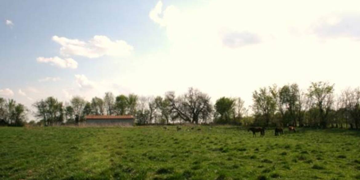 Brivity 24701 E 175th Street Pleasant Hill, MO 64080