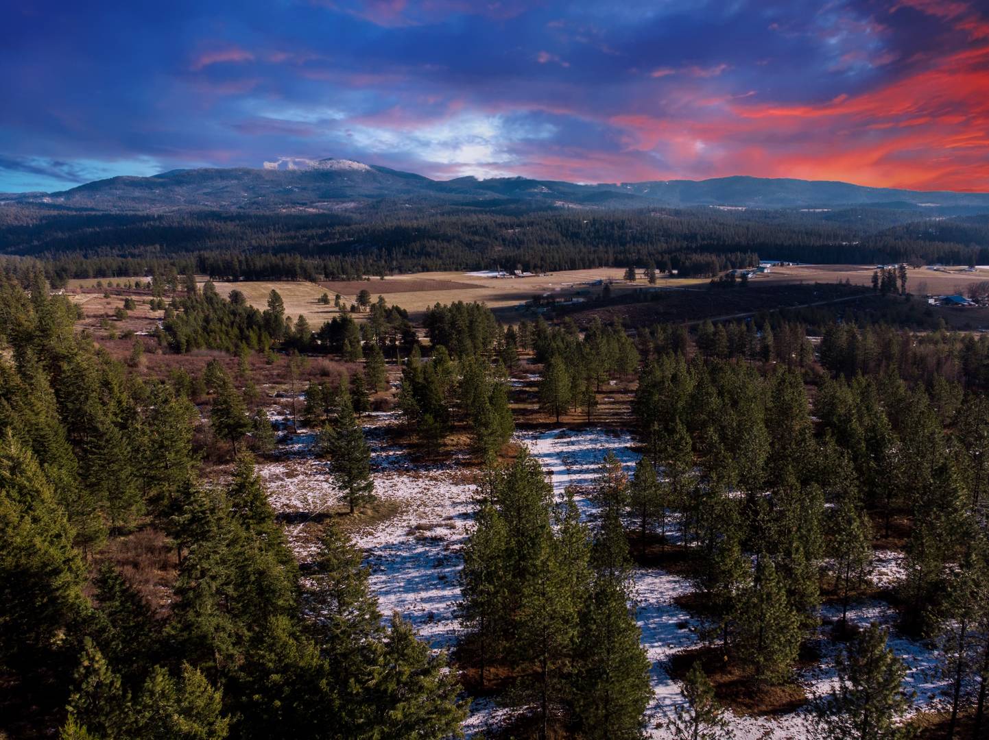 Brivity 31504 N Fire Valley Ln. Chattaroy, WA 99003 Virtual Tour