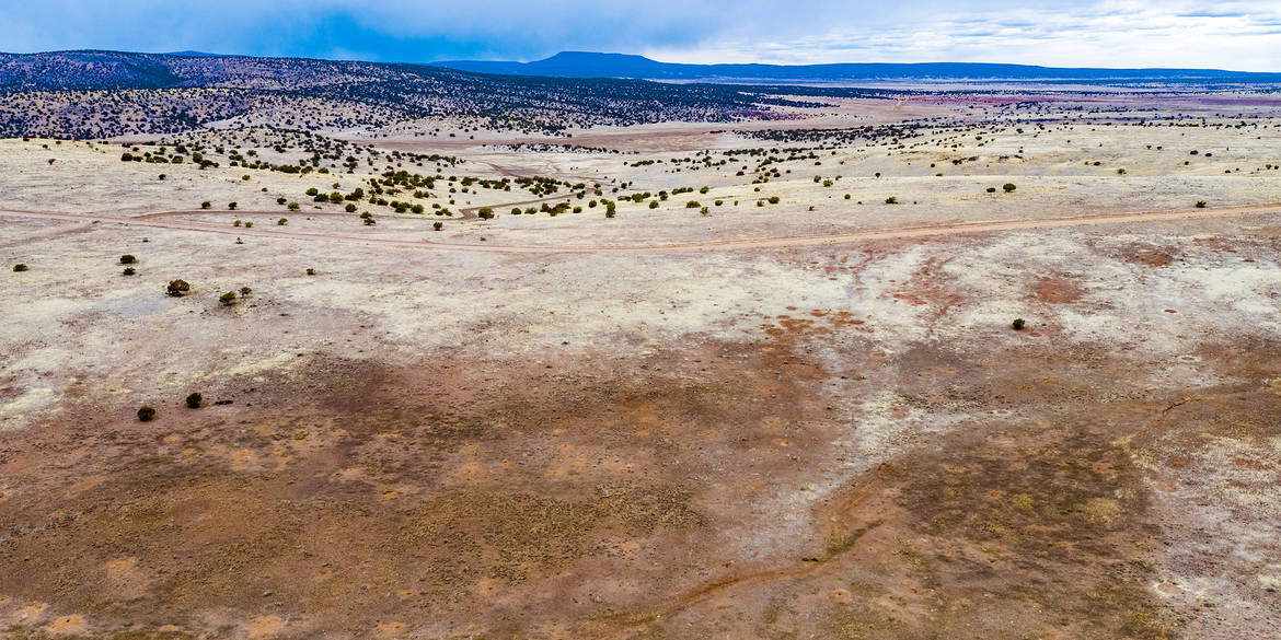 Brivity 00 Williamson Valley Road Seligman, AZ 86337