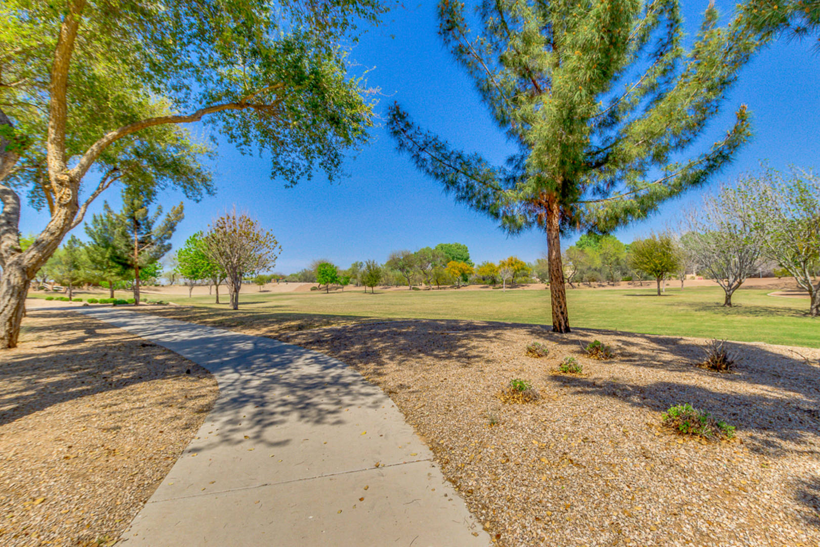 18510 E Oak Hill Lane Queen Creek, AZ 85142