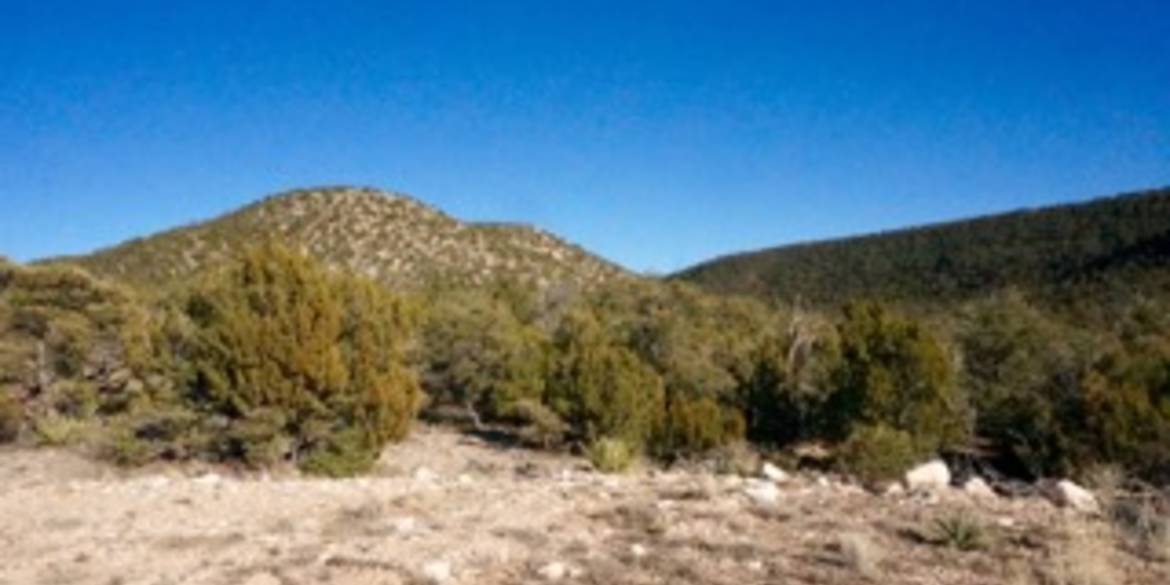 Brivity 1957 Deer Canyon Trail Mountainair, NM 87036