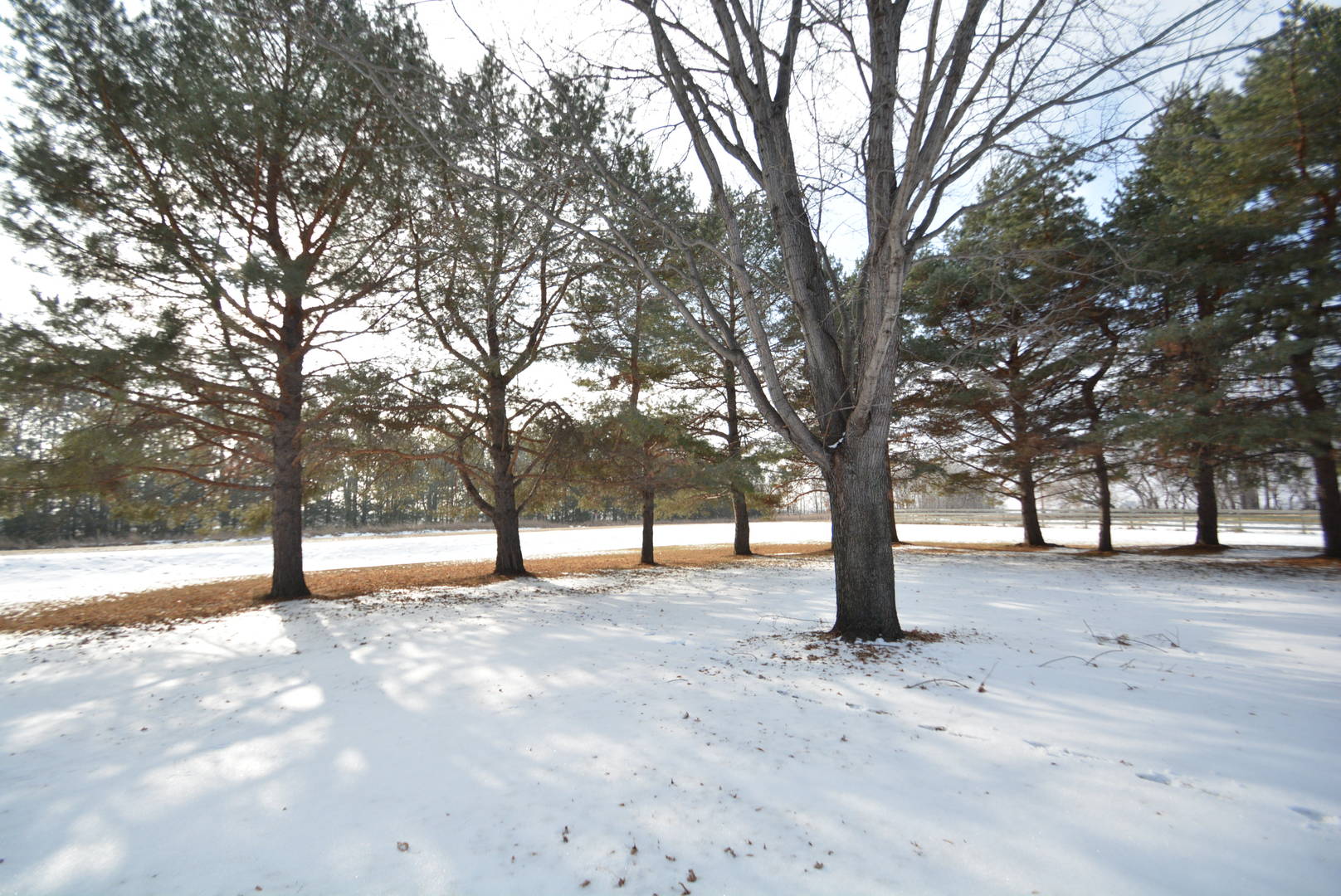 Brivity 15115 58th St SE Leonard ND Leonard, ND 58052 Virtual Tour