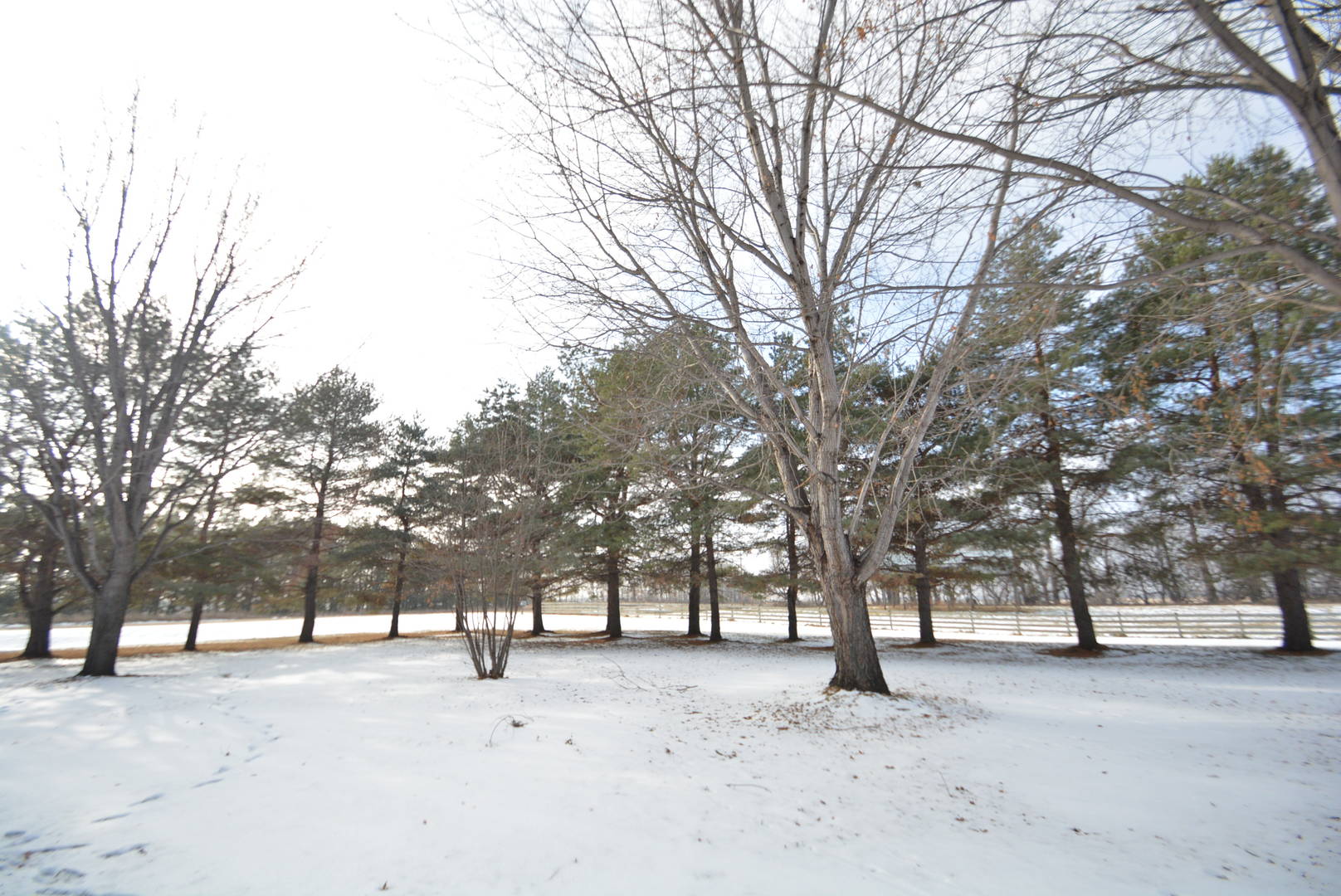 Brivity 15115 58th St SE Leonard ND Leonard, ND 58052 Virtual Tour