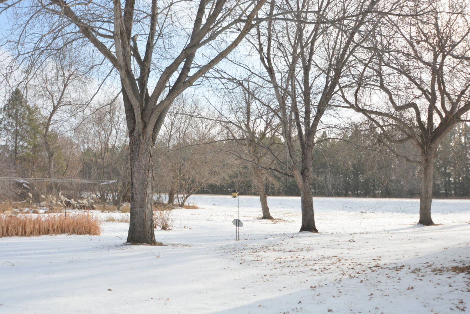 Brivity 15115 58th St SE Leonard ND Leonard, ND 58052 Virtual Tour