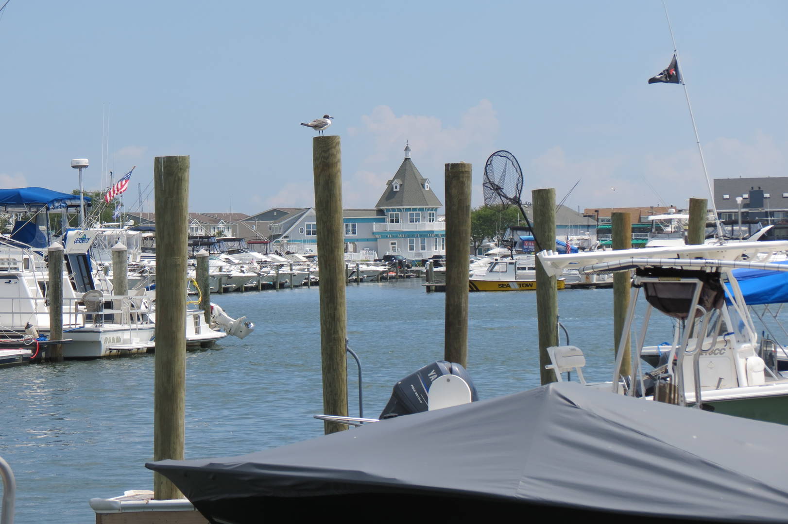 Brivity 11 Ave Lower Twp, NJ 08260 Virtual Tour