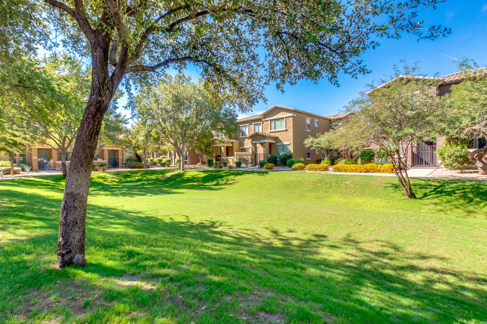 15240 N 142nd Ave Unit 1095  Surprise, AZ 85379