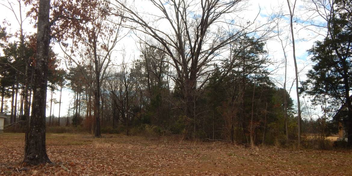 Brivity Lot 1 New Light Rd Starkville, MS 39759