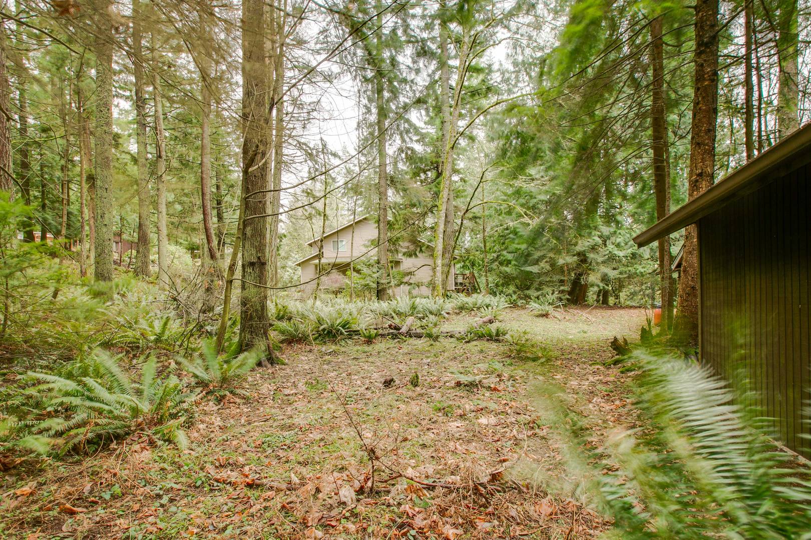 Brivity 43 Lost Fork Lane Bellingham, WA 98229 Virtual Tour