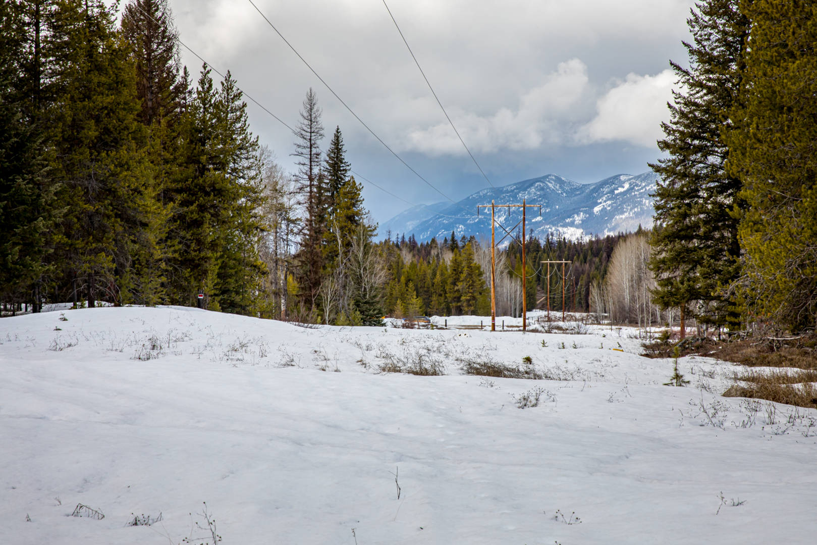 Brivity 94 White Bird Trail Olney, MT 59927 Virtual Tour
