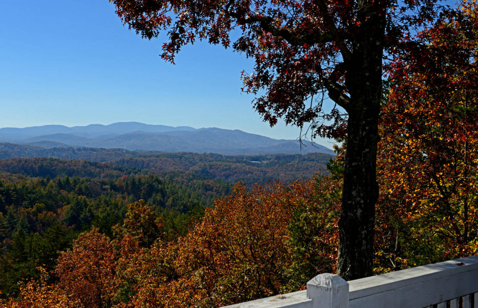brivity-1141-my-mountain-road-morganton-ga-30560-virtual-tour