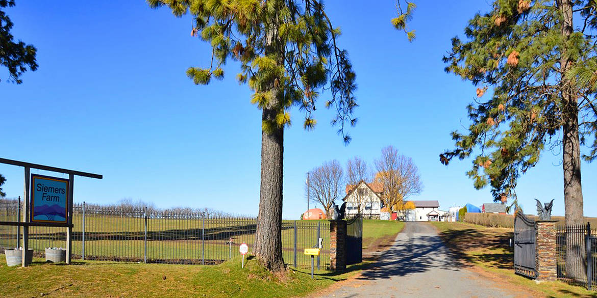 Brivity 11125 Day Mt Spokane Rd Mead, WA 99021