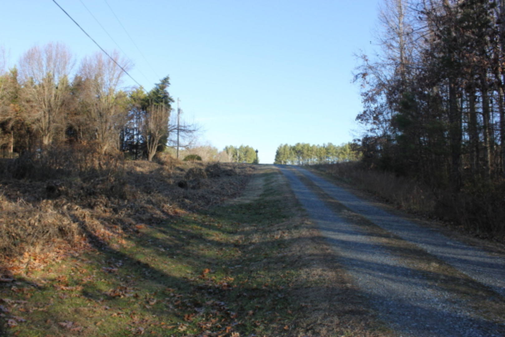 Brivity 312 Mockwood Farms Lane Lexington, NC 27295 Virtual Tour