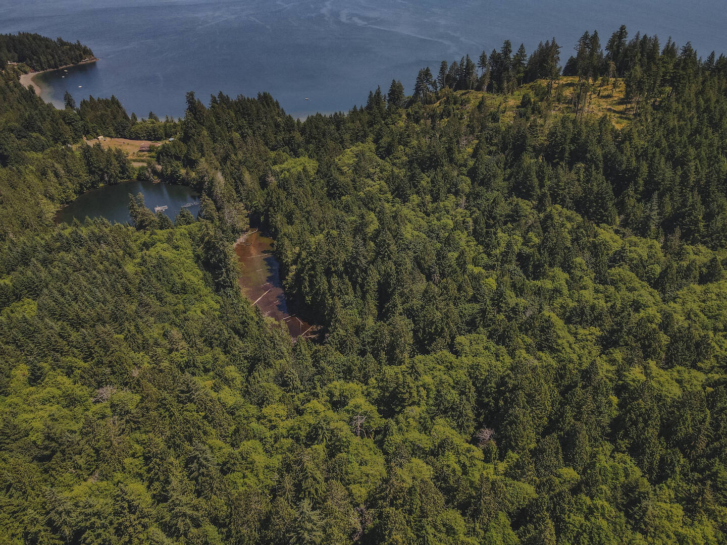 Brivity 1192 Black Point Rd Brinnon, WA 98320 Virtual Tour