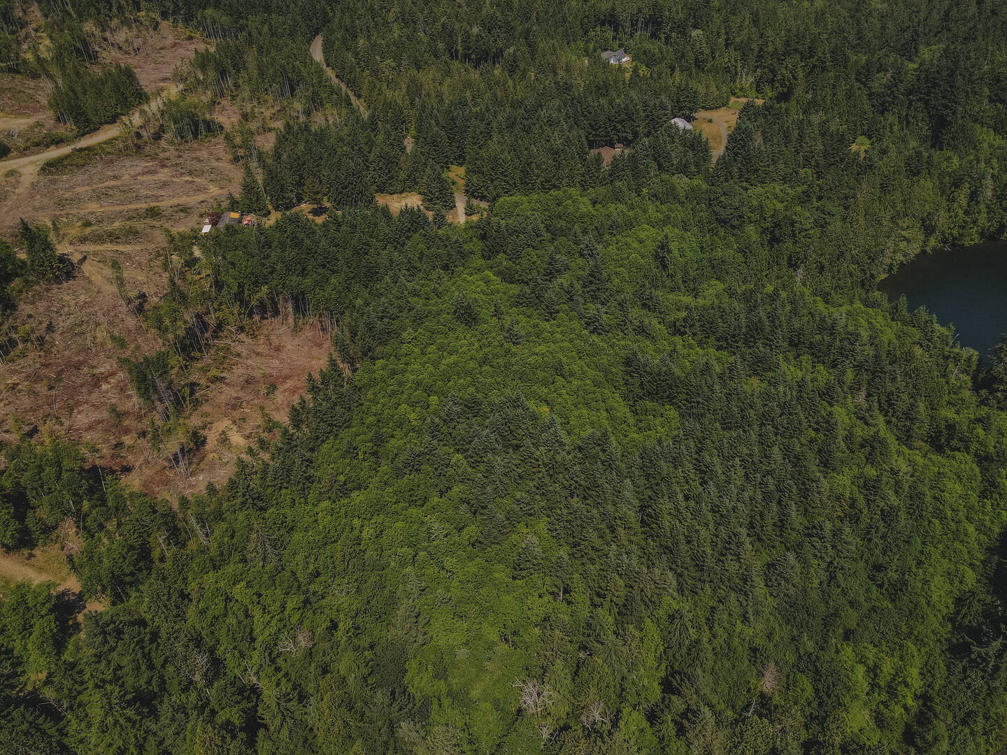 Brivity 1192 Black Point Rd Brinnon, WA 98320 Virtual Tour